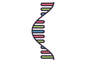 遺伝子発現（RNA-seq）解析